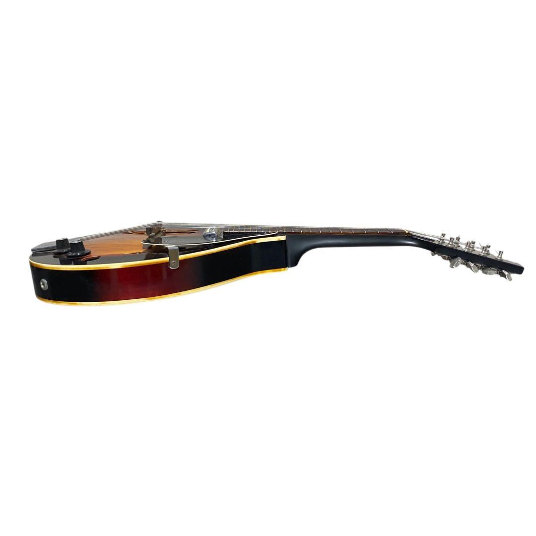 【希少品】IBANEZ エレキマンドリン　ハードケース付　マンドリン