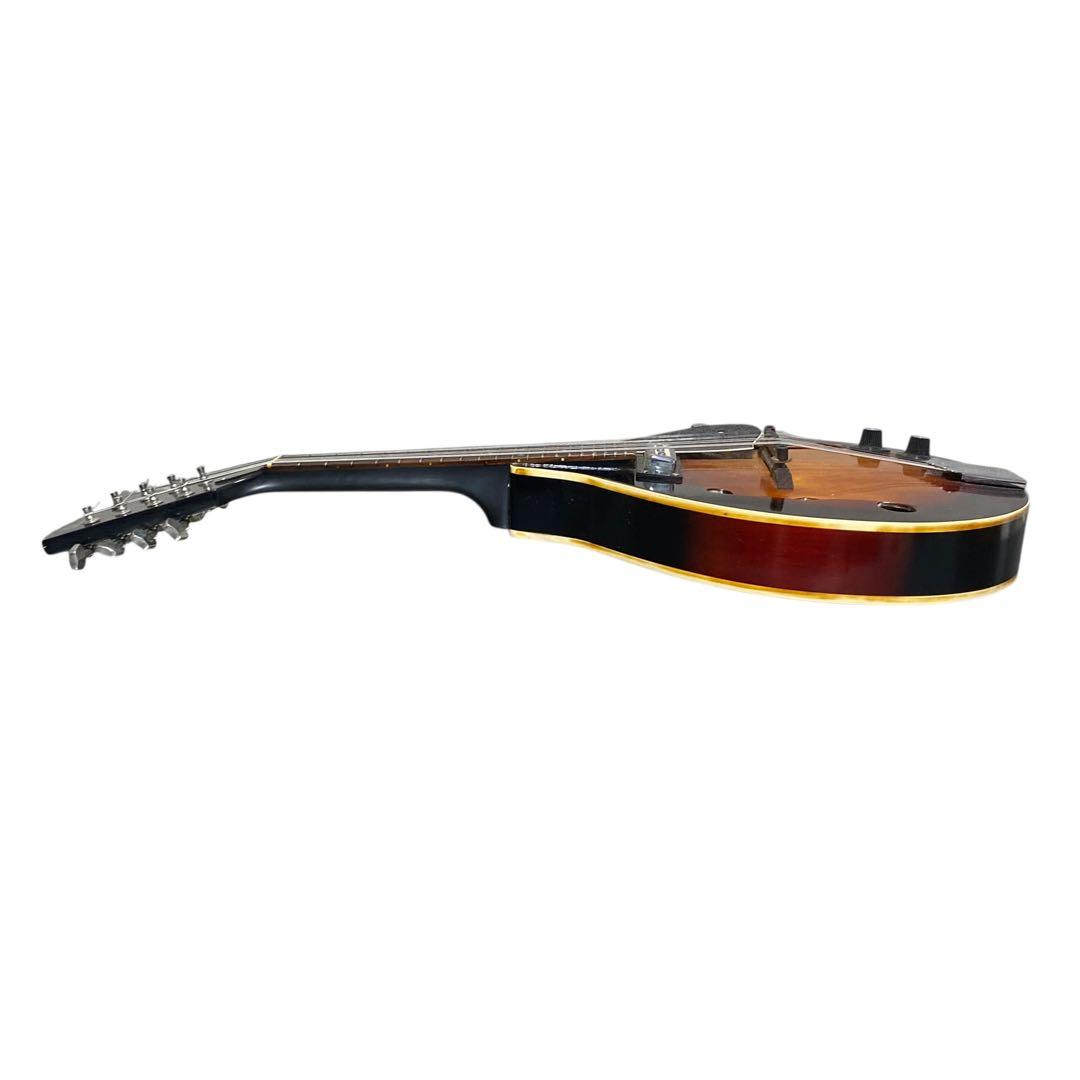【希少品】IBANEZ エレキマンドリン　ハードケース付　マンドリン
