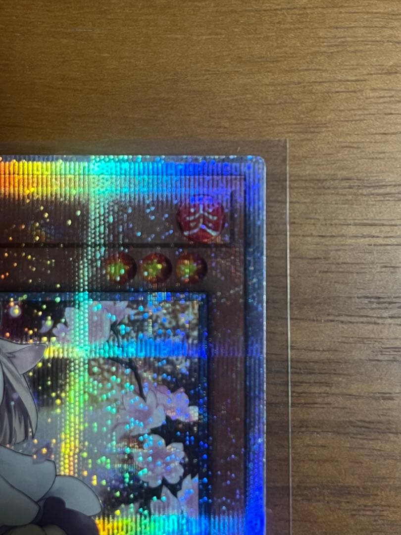 遊戯王 灰流うらら 絵違い 25thシークレット　クオシク　QCAC-JP050