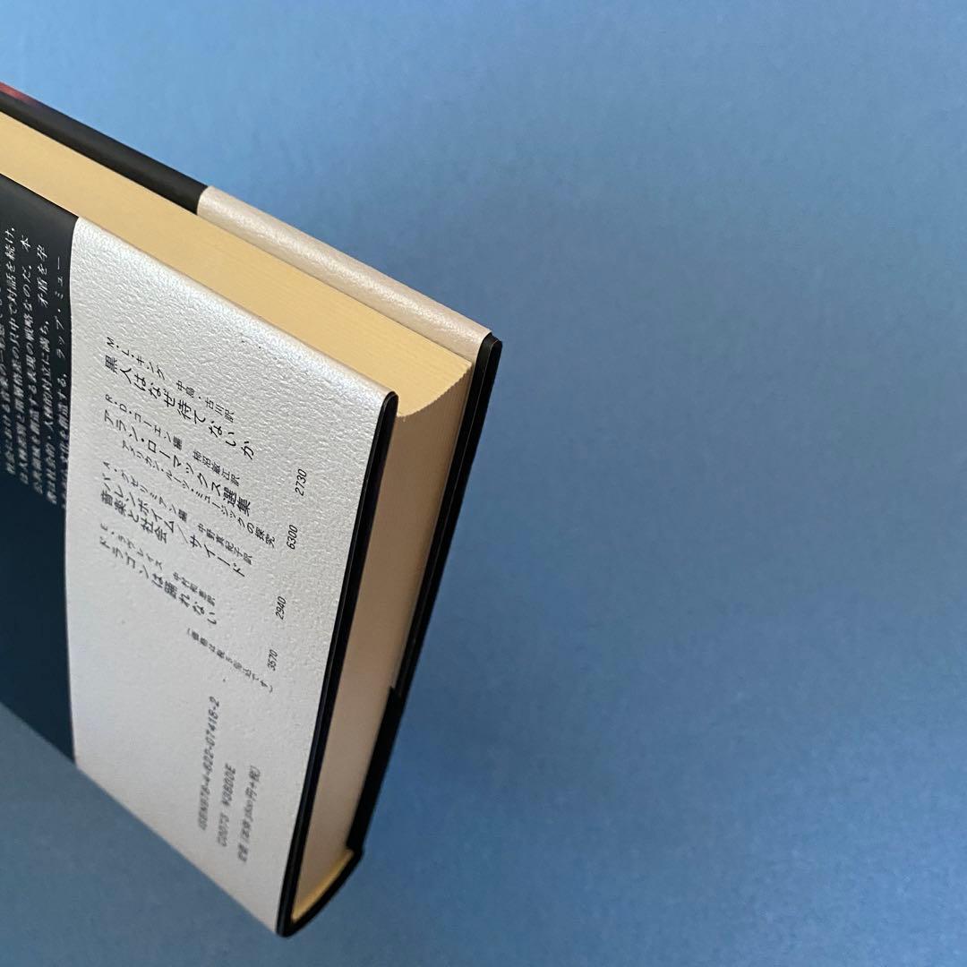 ブラック・ノイズ　書籍　単行本　ヒップホップ