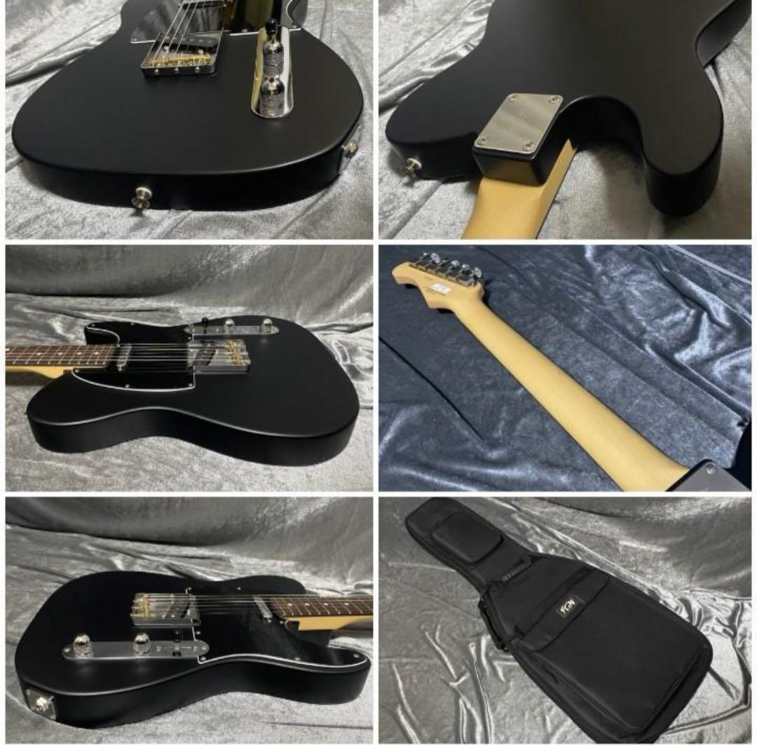 美品 限定レアモデル 2023年製 フジゲンFUJIGEN KNTE100RAL