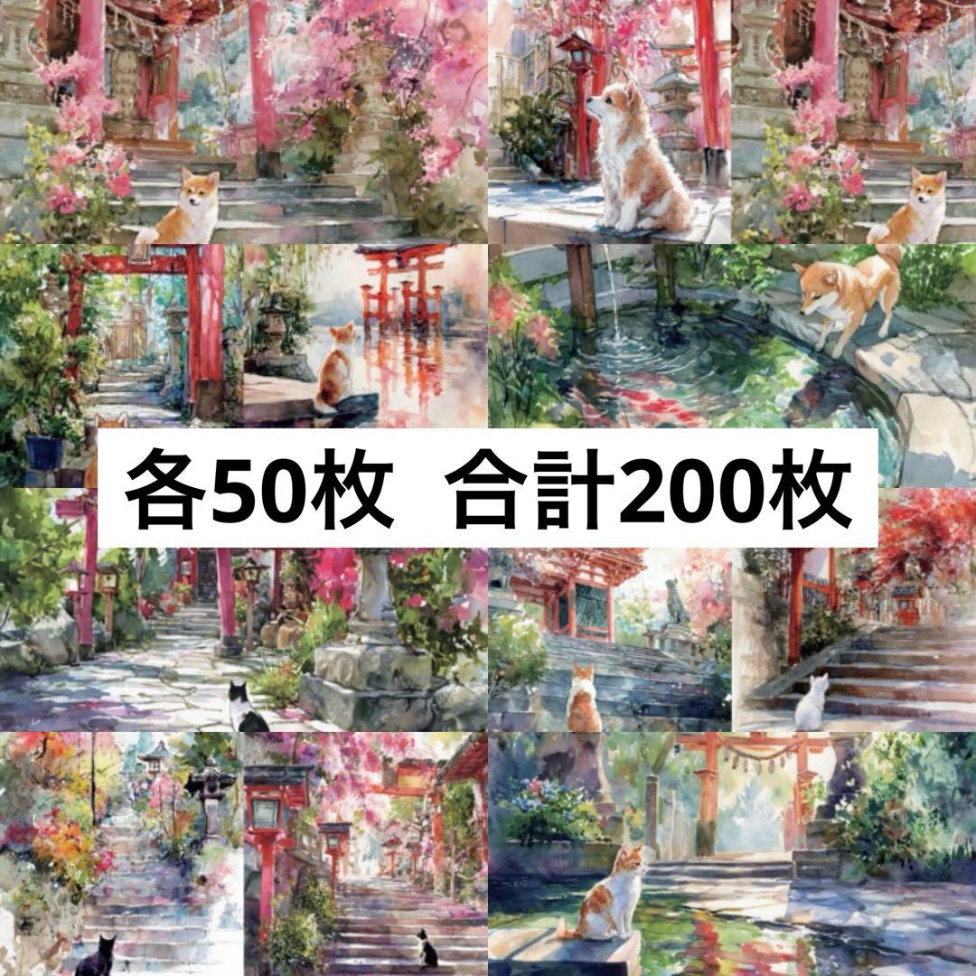 美咲