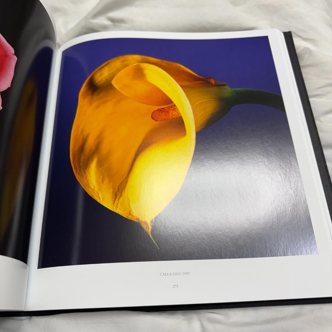 Robert Mapplethorpe ロバート メイプルソープ 写真集 作品集