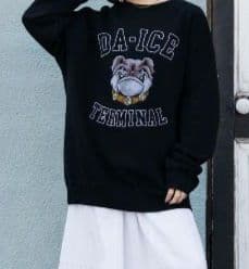 新品 Da-iCE Color Flocky Sweat Mサイズ