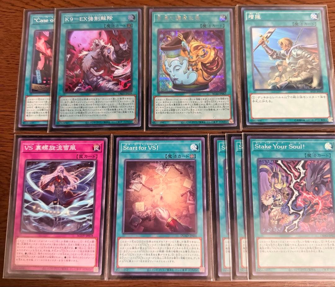 【専用出品中】構築済みVSK9デッキ