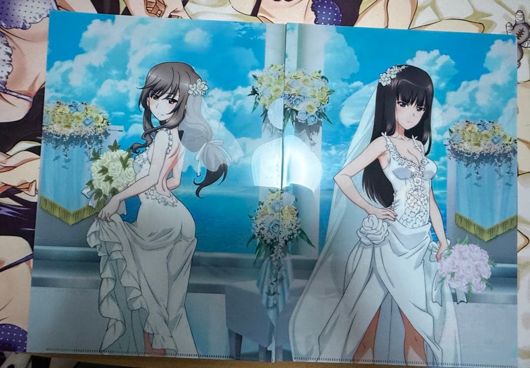 ガールズ&パンツァー あんこう祭カーテン魂購入特典 クリアファイル おまけ付き