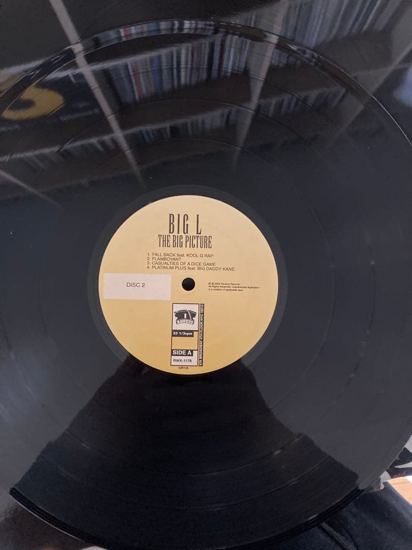 Big L The Big Picture 1999 レコード