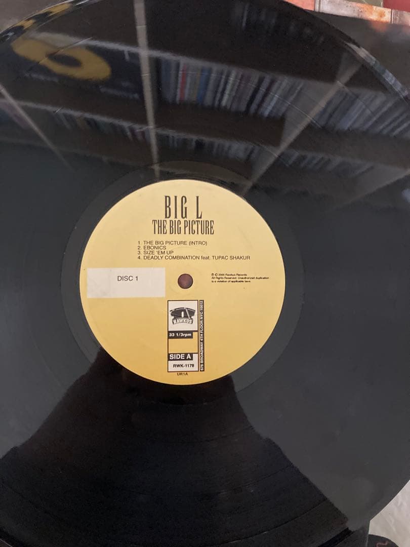 Big L The Big Picture 1999 レコード