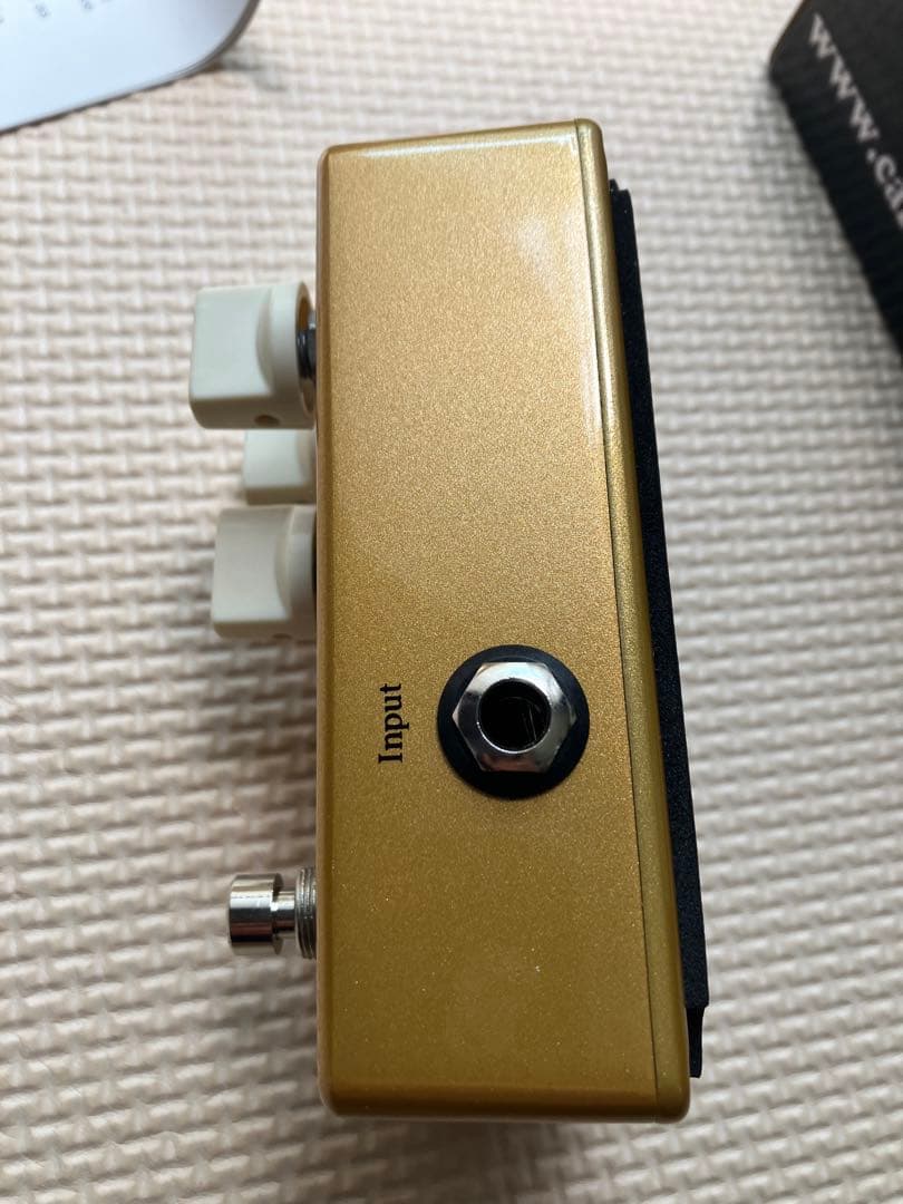 ギター CARL MARTIN PlexiTone