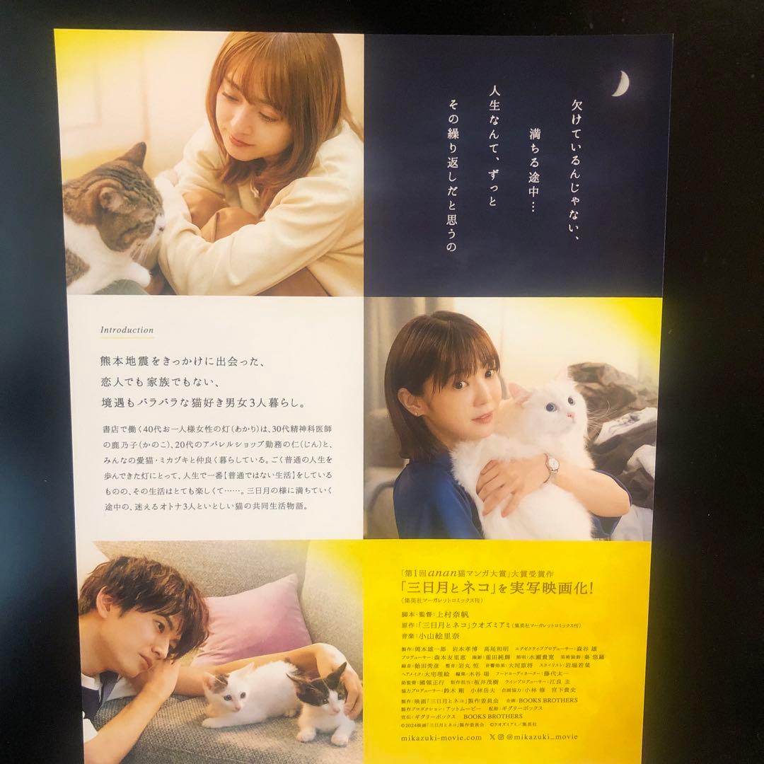 三日月とネコ　安達祐実　倉科カナ　渡邊圭祐　映画チラシ　フライヤー　d4
