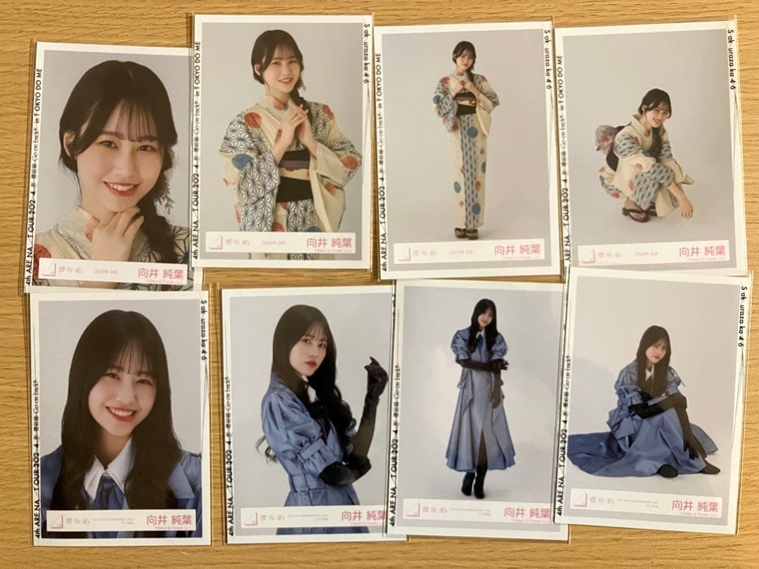 櫻坂46 生写真　向井5コンプ