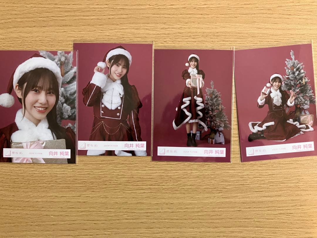 櫻坂46 生写真　向井5コンプ