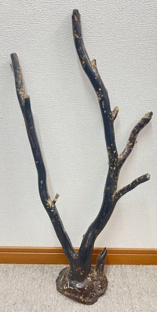極上 大振海松 置物 深海松 黒珊瑚　重さ：1448g