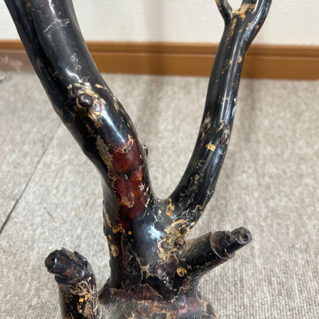 極上 大振海松 置物 深海松 黒珊瑚　重さ：1448g