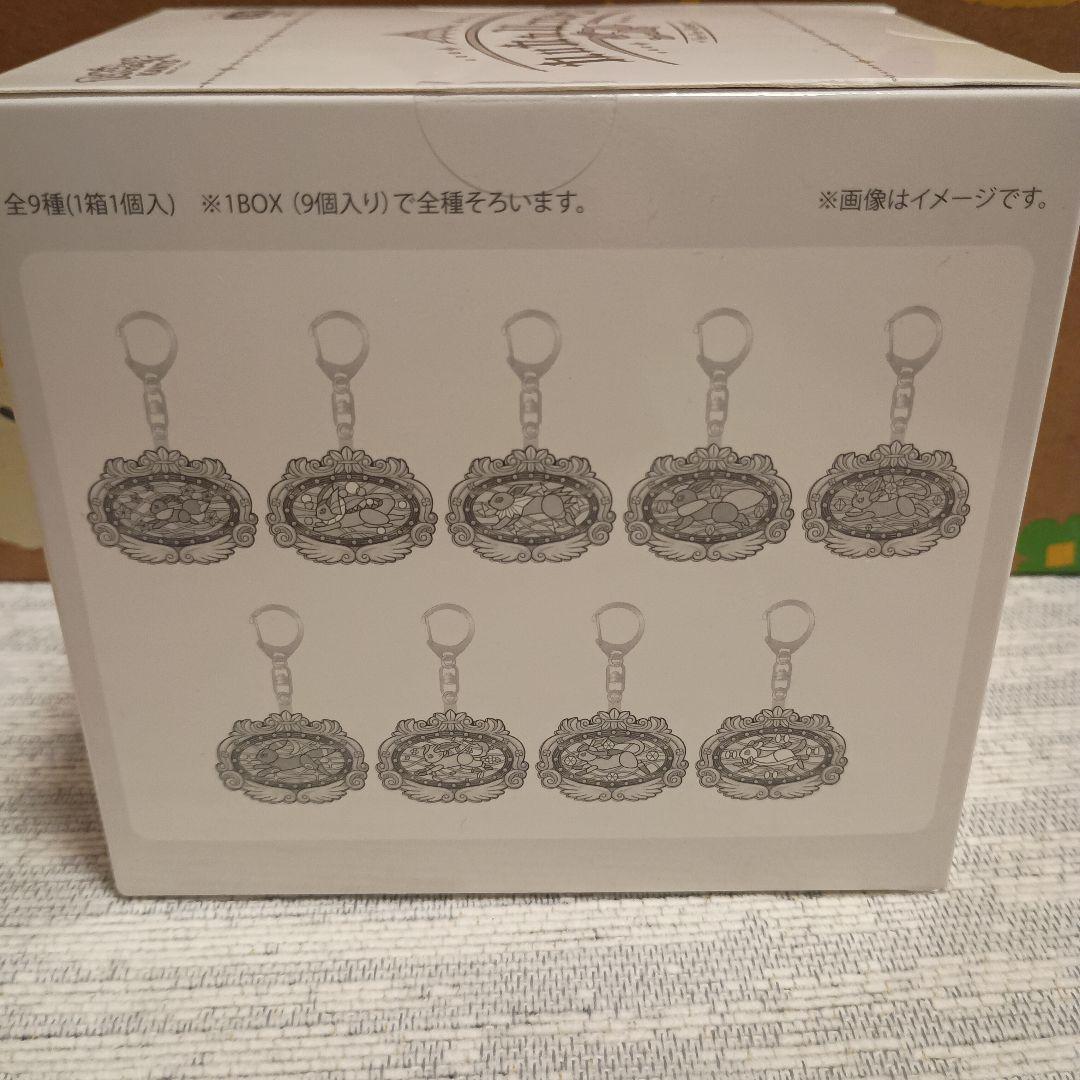 ポケパークカントー限定　イーブイアクリルキーホルダー　全9種類コンプリートセット