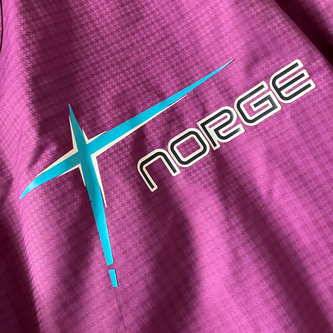 2E✨phenixフェニックス ✨スキーウェア 上下セット メンズM 170cm