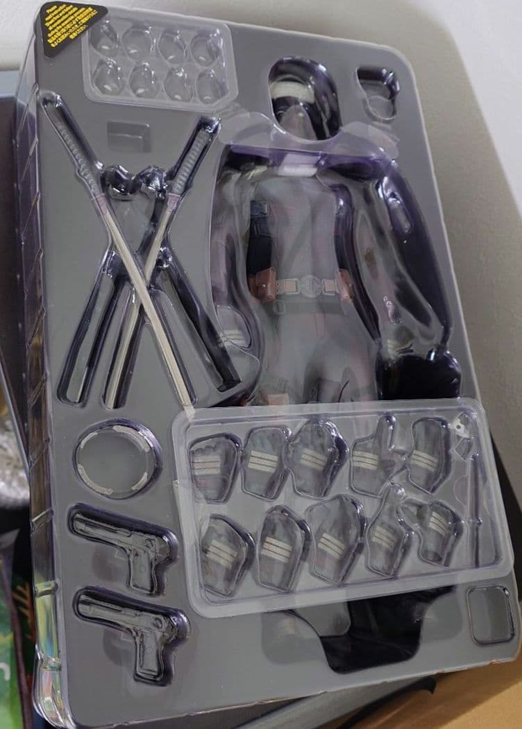 た*け様 ホットトイズ1/6デッドプール（灰まみれ版）