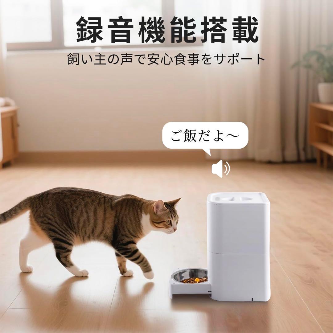 ✅業界初登場！2in1一体型 自動給餌器 猫 中小型犬用 給餌器＆給水器 一体