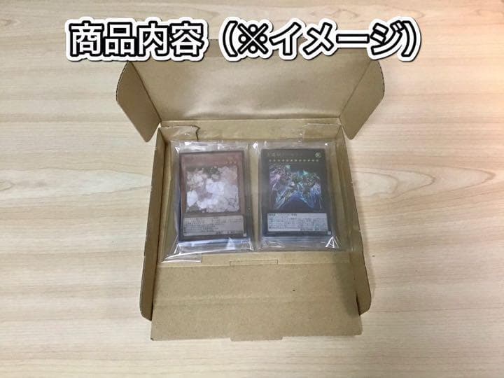 本格構築 【シャドールタロットレイ】デッキ メイン&EX15&二重スリーブ