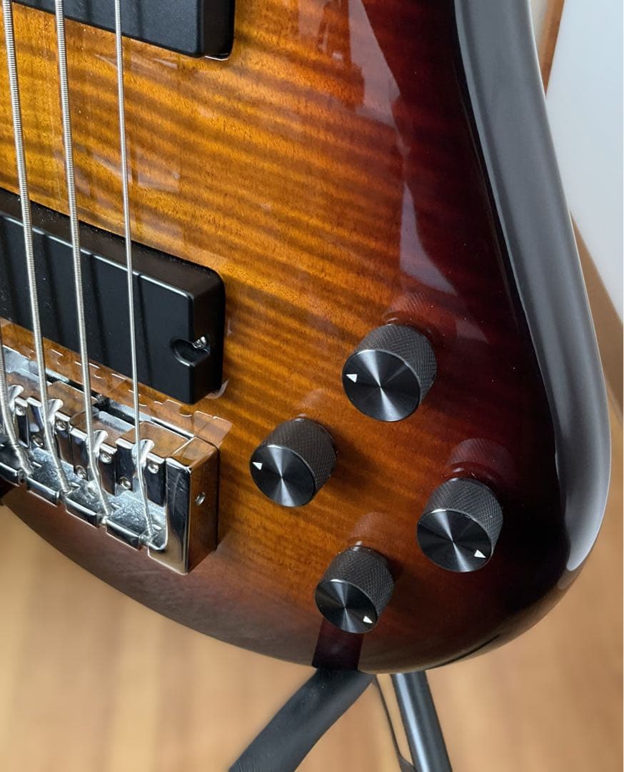 【送料込最終】Spector 5弦ベース【ストラップおまけ】
