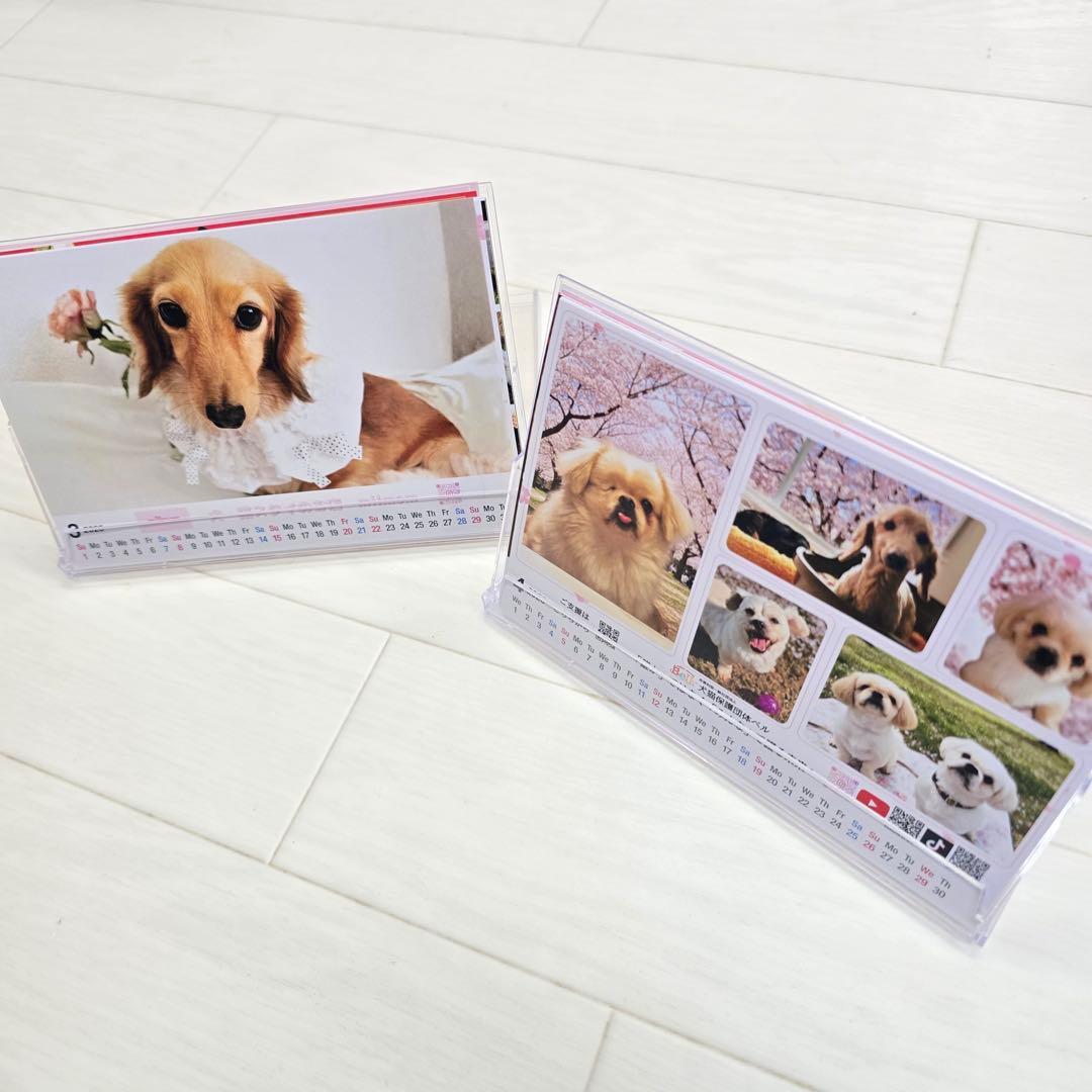 ③『犬』 卓上チャリティーカレンダー10枚セット