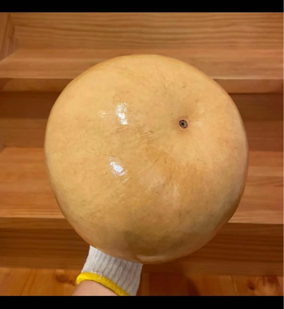 イプ　フラ用