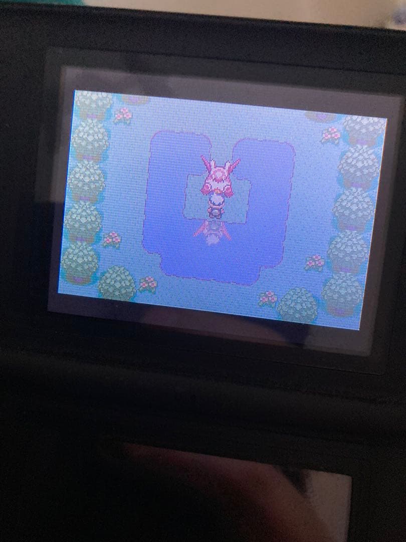 ポケットモンスターエメラルド、ふるびたかいず、しんぴのチケット、むげんのチケット