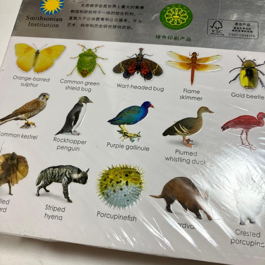 図鑑
