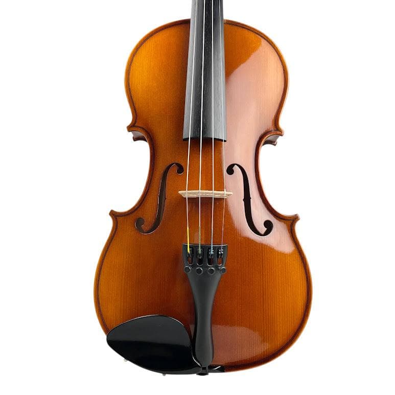 極美品●HORA● Reghin 4/4 ルーマニア製 ホラ レギン バイオリン