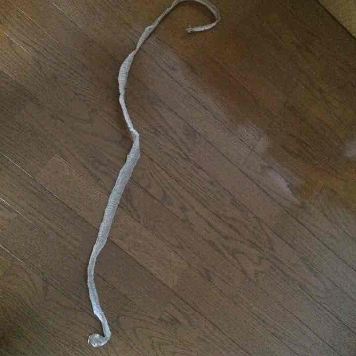 蛇の抜け殻