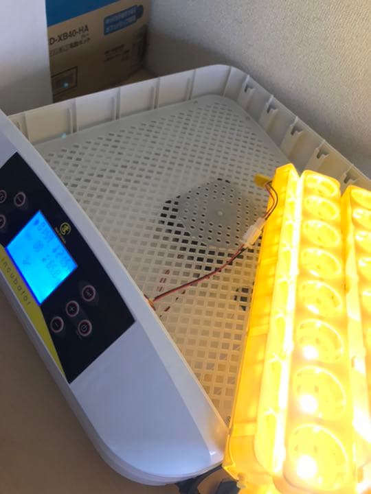 訳あり理由LEDライトが全箇所　転卵せず　ジャンク　接触不良だけ直せる方　半額