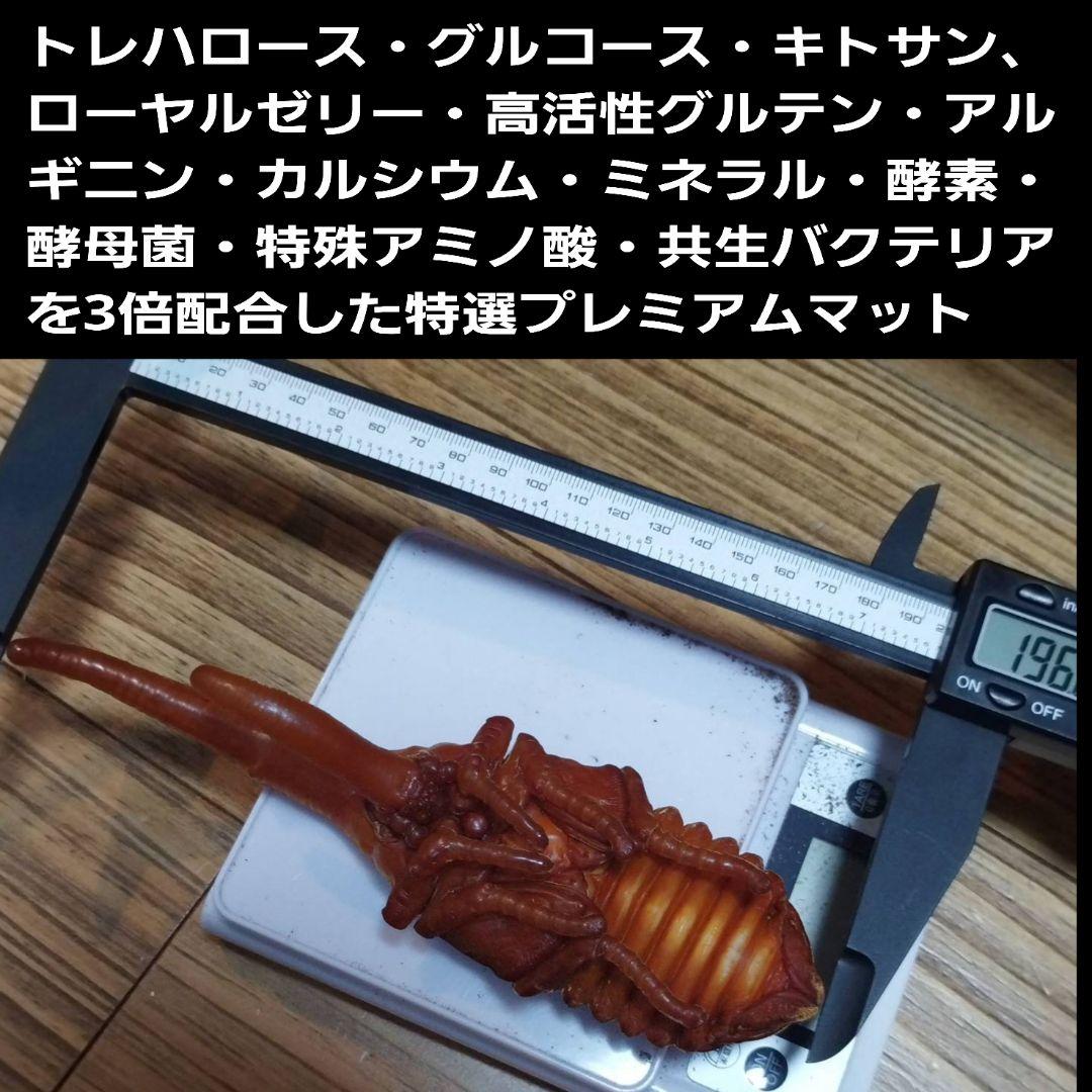 極上！プレミアム3次発酵カブトムシマット【40L】ヘラクレス181ミリ羽化実績！