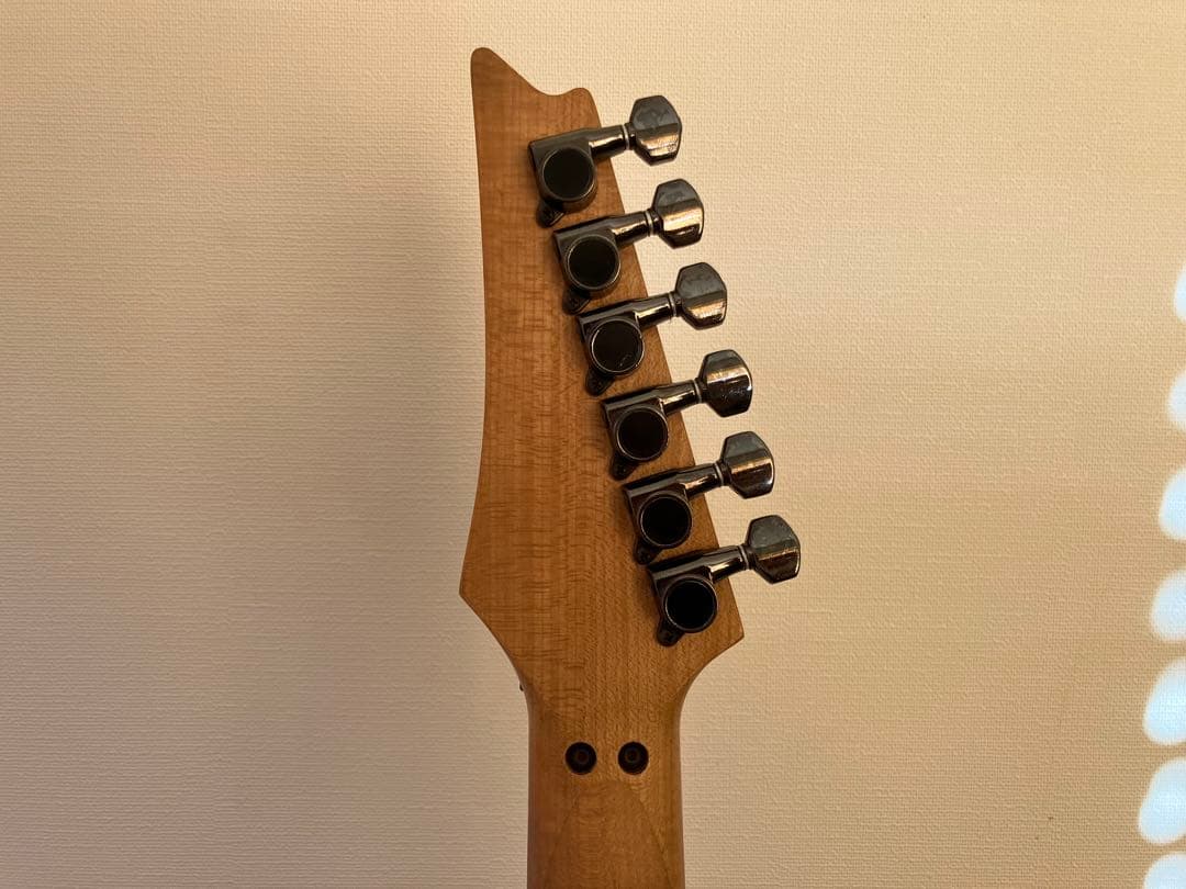 【希少】Ibanez JEM77（Steve Vai Signature）