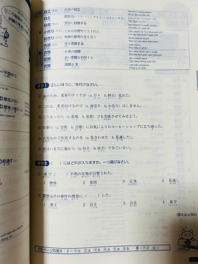 日本語総まとめN1 N2 N3 N4 N5（ベトナム語・英語版） 18冊セット