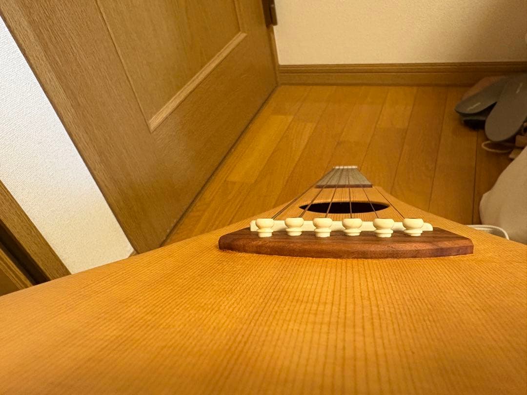 マーチン　バックパッカー