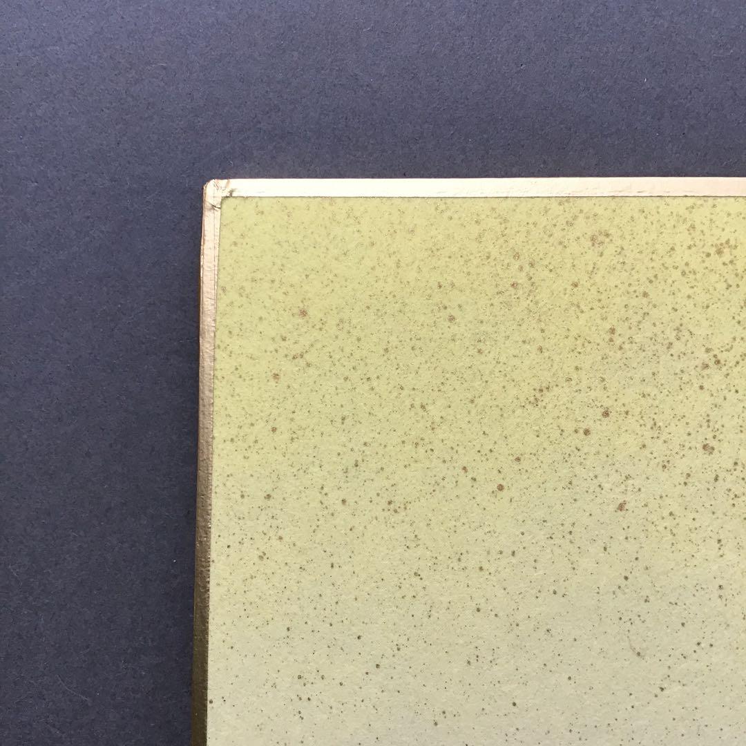 ⭐️色紙　「寿」と山の絵　畳紙　配送用袋　S1032SS
