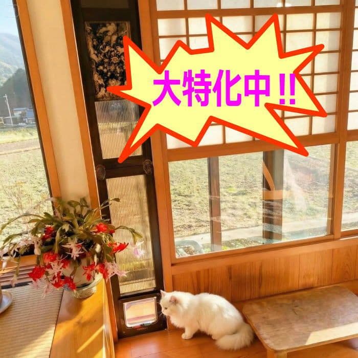 [行って帰る君]　ペットドア　ペット スルー