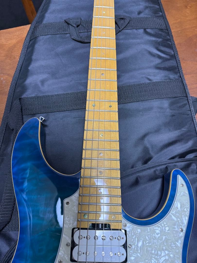 ESP Edwards ギター　snapper