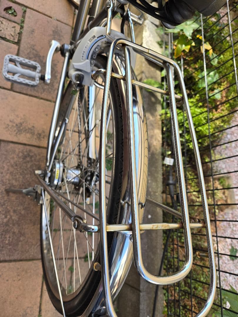 通学　ブリヂストン　ロングティーンDX