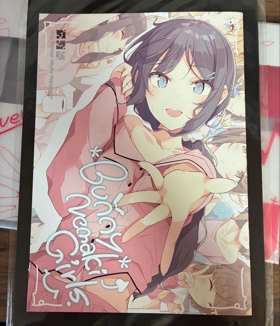 コミケ　青ブタ　10周年　溝口ケージ　イラスト本　セット