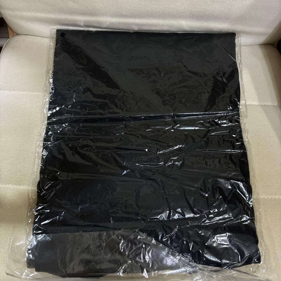 新品　NANBA69 Dragon Ash グッズ Tシャツ　Lサイズ