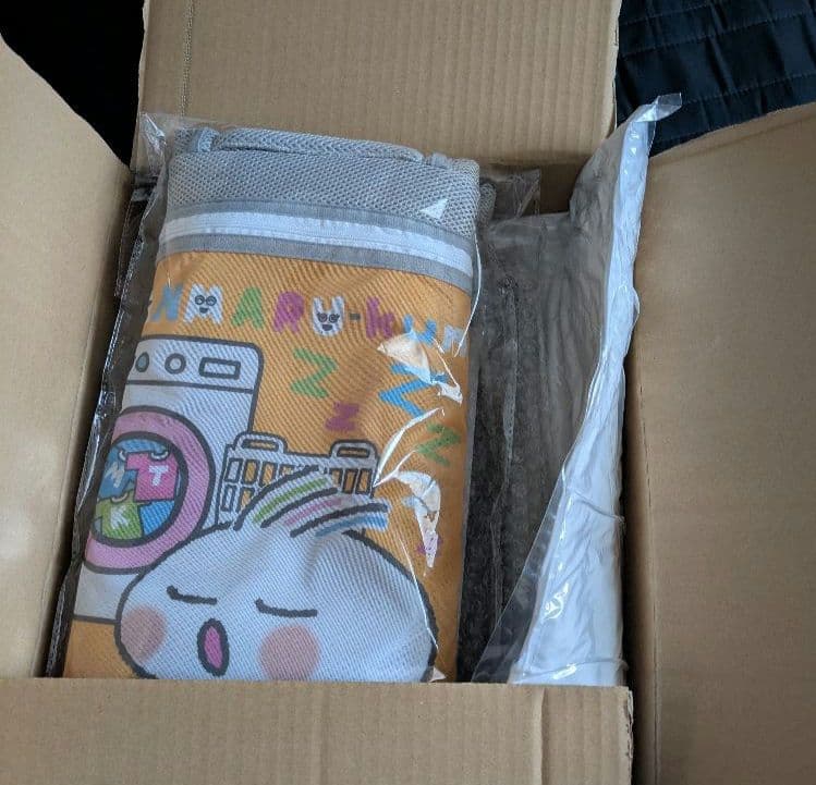 カモアル クッション.コンテナ.らんまるくん.ビートボーイズ.ALFEEバック