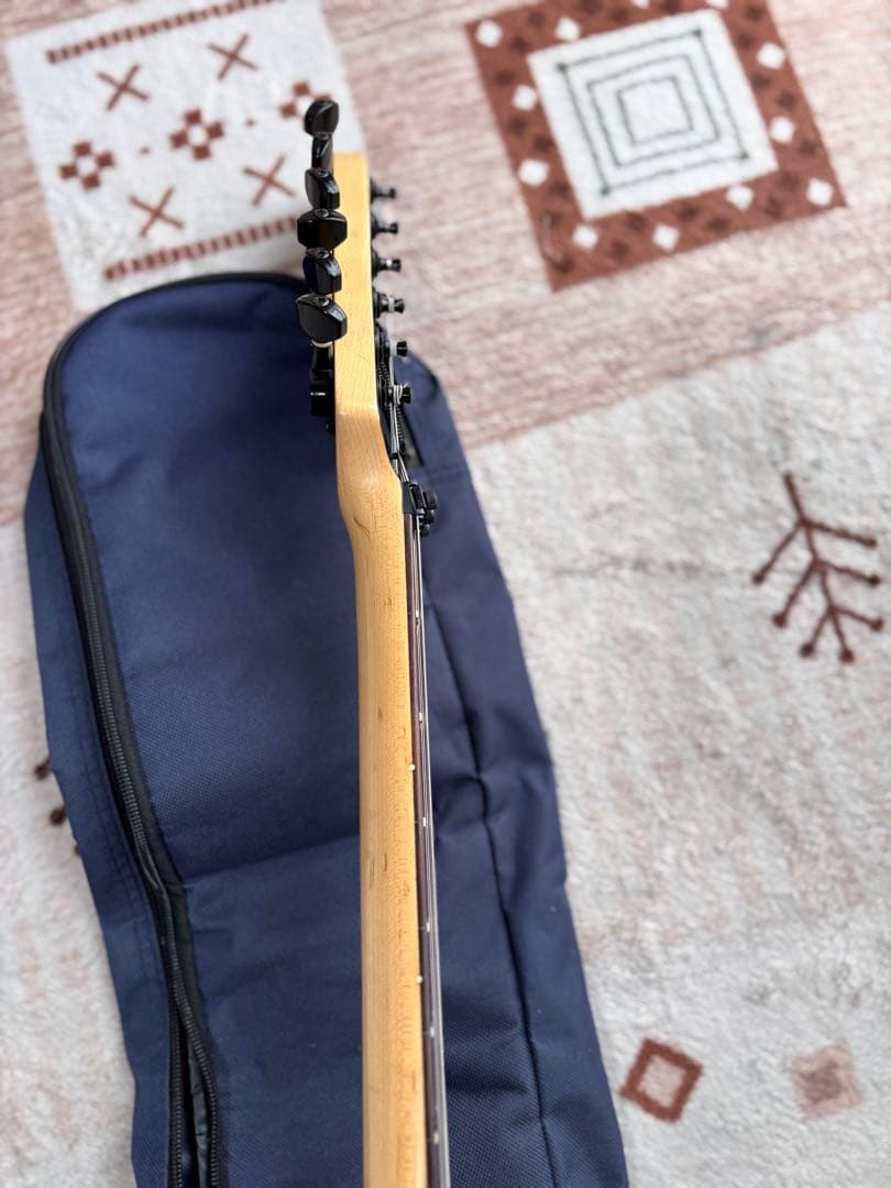 メンテナンス済み美品！　フェルナンデス　FR55