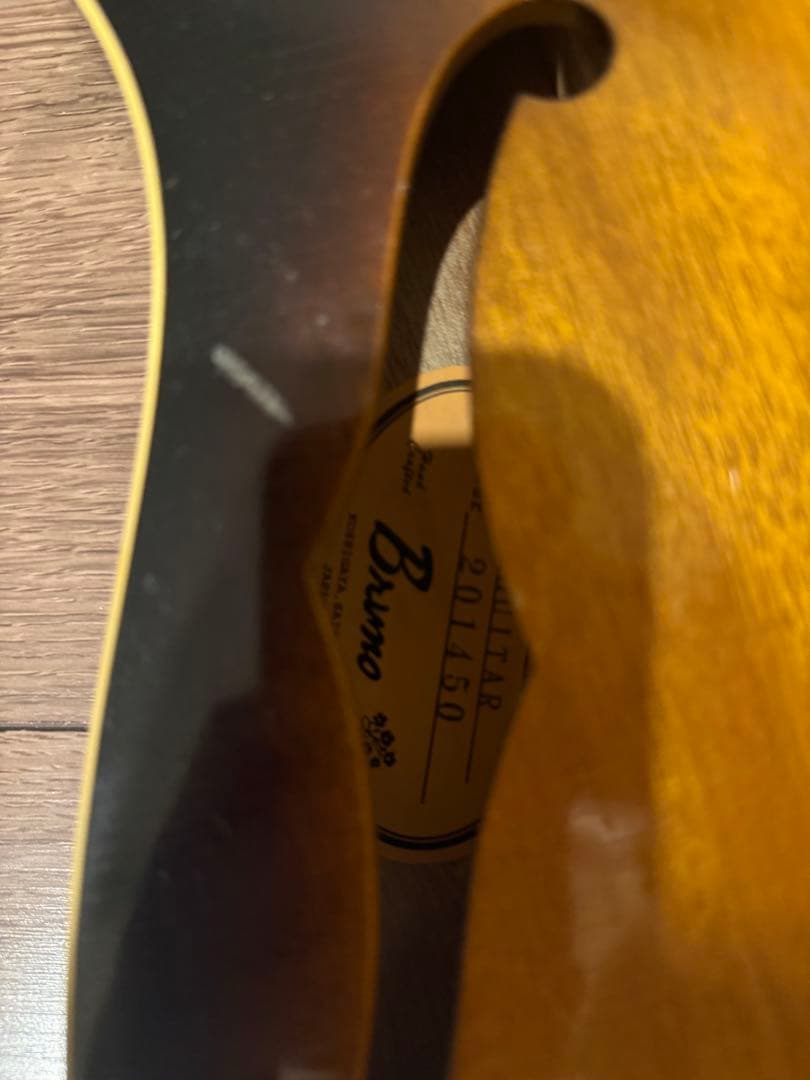bruno guitars TN-295(オーダーカラー)monoケース付き