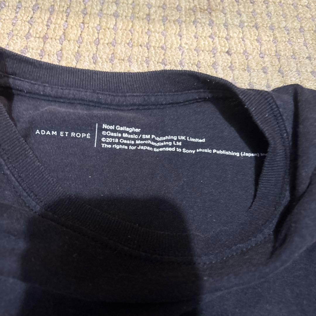 OASIS オアシスTシャツ オフィシャルChampagne