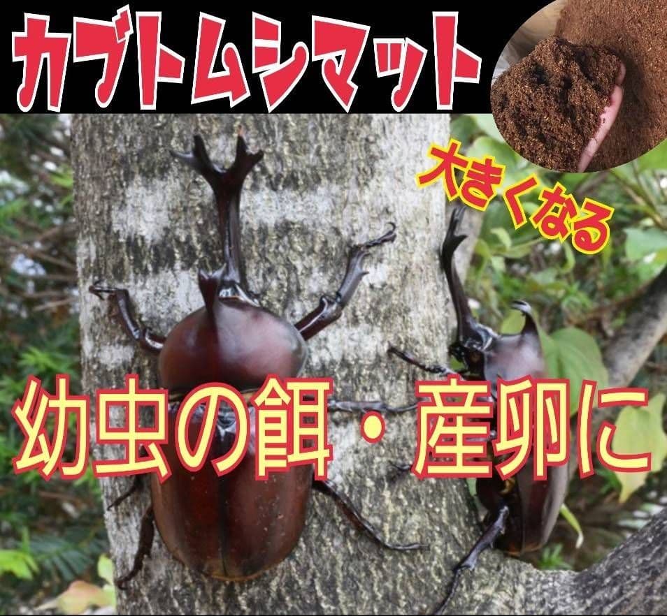 カブトムシ幼虫が大きくなる！栄養価抜群の発酵マット【60リットル】チャック付袋