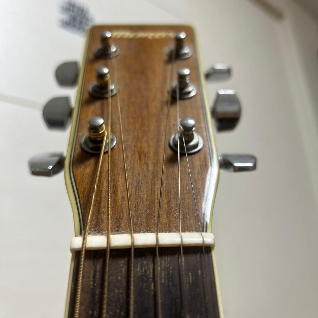 Morris MF-301 アコースティックギター