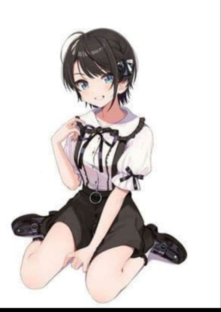 大空スバル、姫森ルーナ、グッズ　他