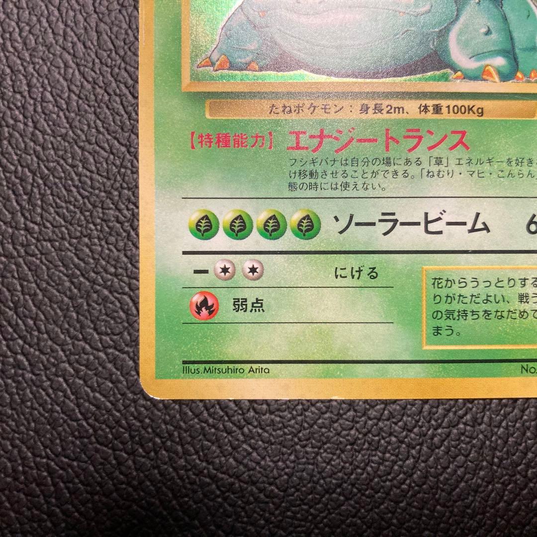 フシギバナ 初版　旧裏　マーク無し
