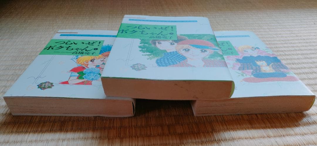 高橋亮子 つらいぜ！ボクちゃん  愛蔵版
